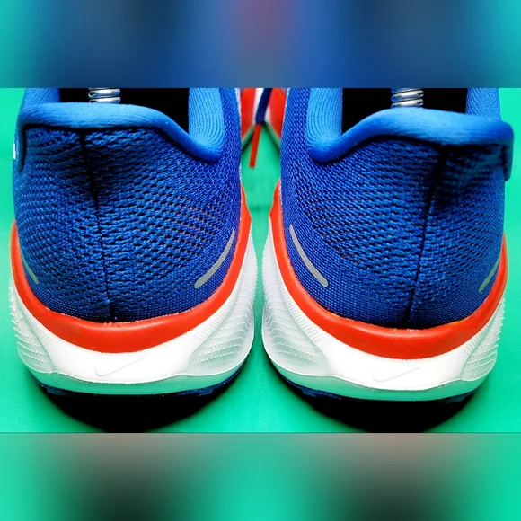 Nike x College Florida Gators Air Zoom Pegasus 41 Running Shoes Sz 10 Men NIB - Picture 5 of 8